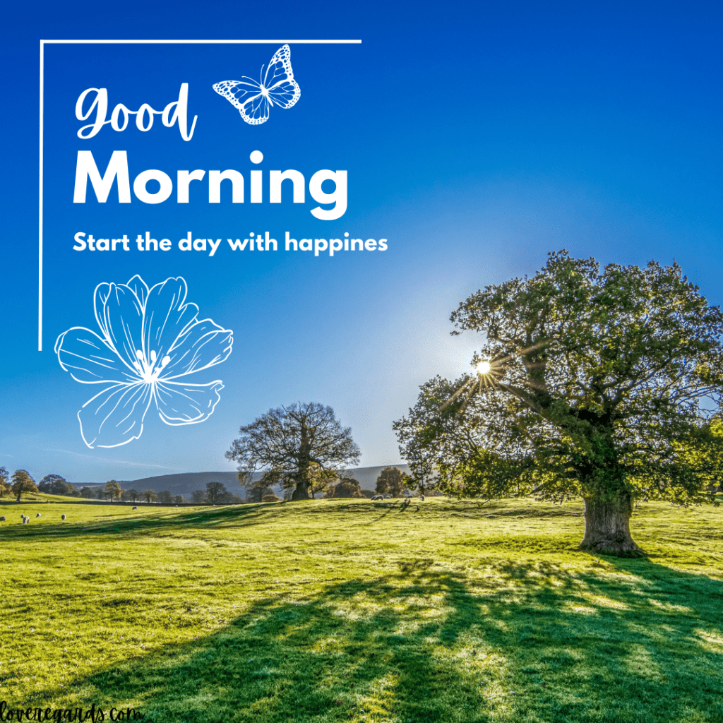 Good Morning Blessings and Quotes