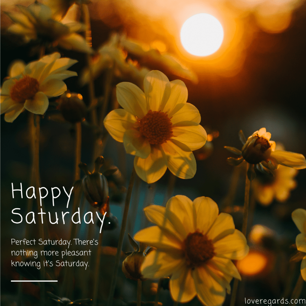 Saturday Prayers
