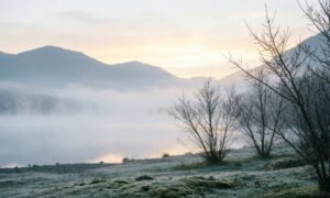 Foggy Morning Quotes