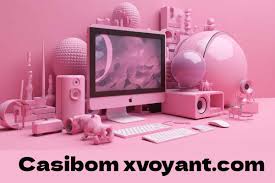 casibom xvoyant.com