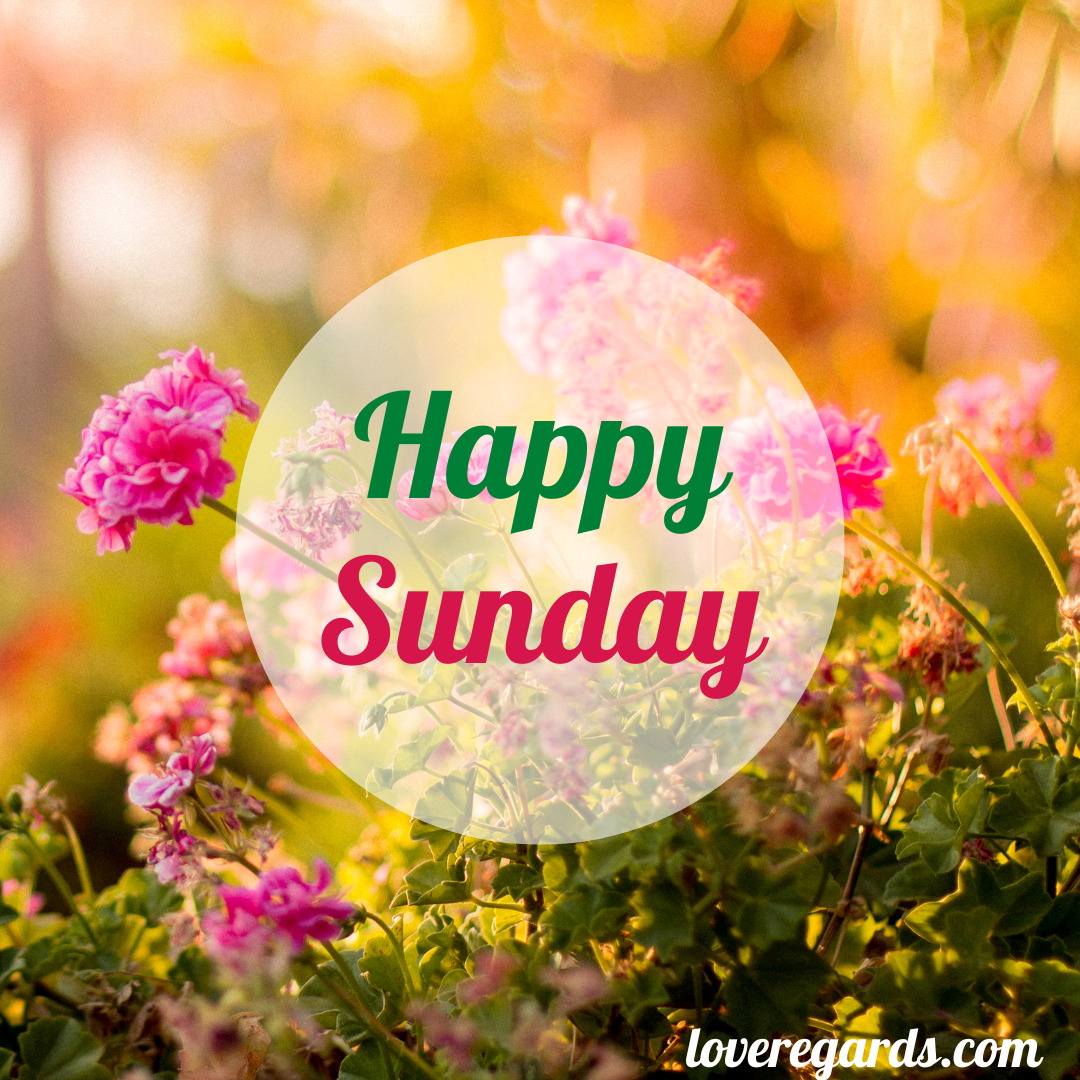Sunday Prayers