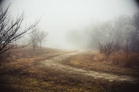 Foggy Morning Quotes